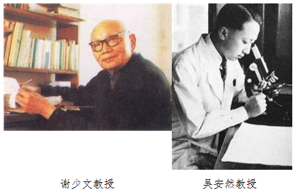 4bc119224c0a4a49bb554a311a8664d7.png image.png